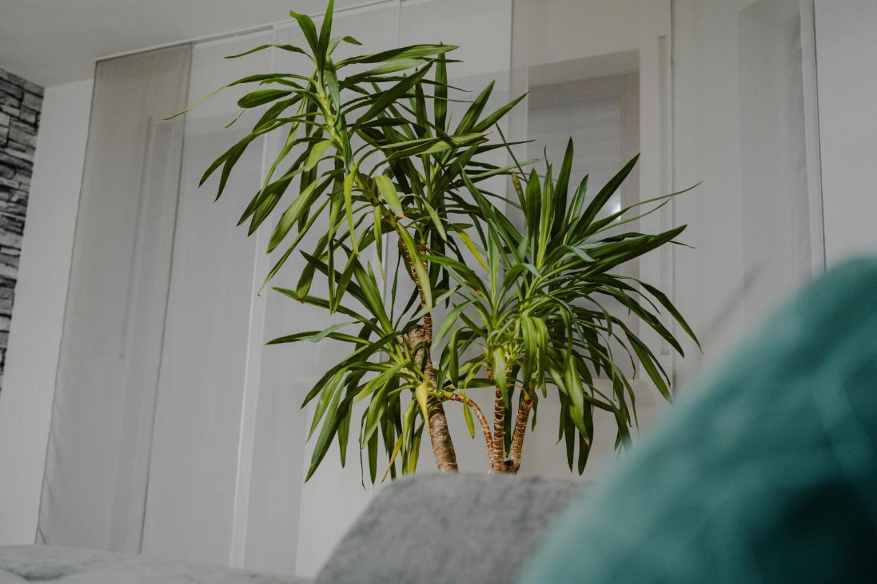 Modern - Ruhige Lage - Zentrumsnah - 2-zimmer Apartment